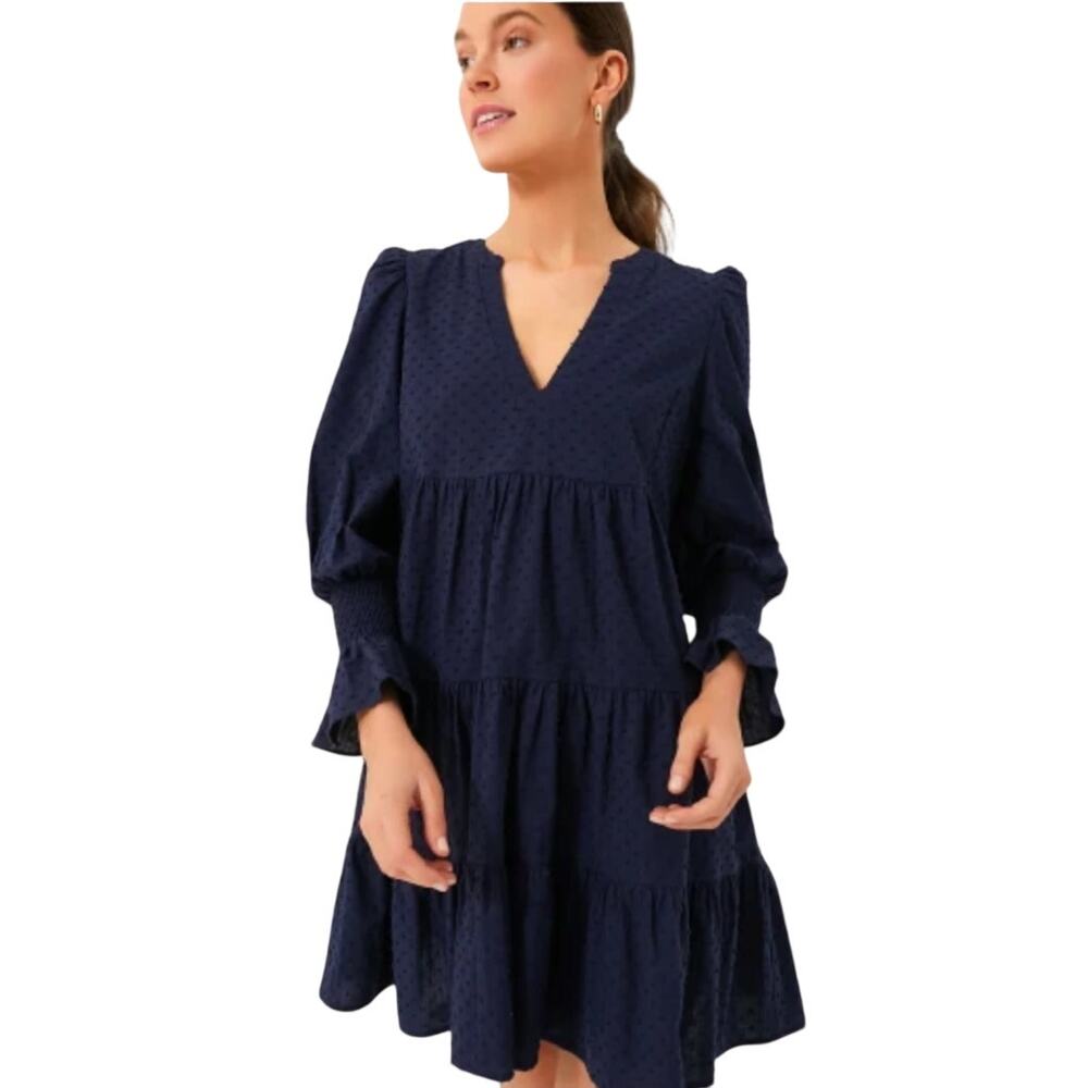 Pomander Place (Tuckernuck) Navy Swiss Dot Kenzo Mini Dress